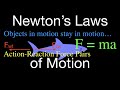 Newton's Laws of Motion Quiz
