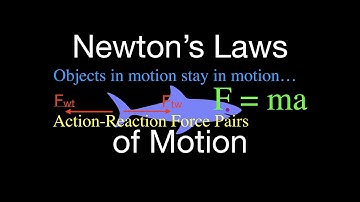 Newton