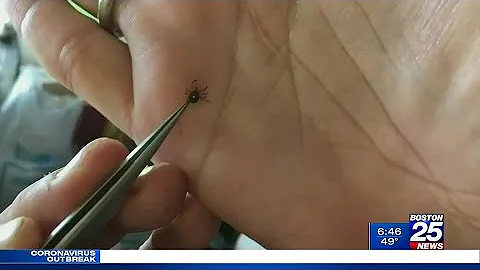 Mother of 10-year-old battling tick borne disease:...