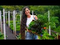 Garden tour  simple gardening tips  how i make nourishing gardentotable plantbased meals 