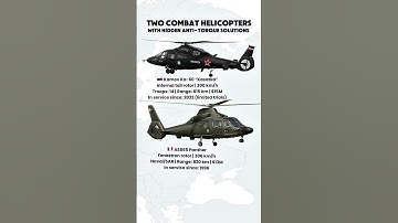 Ka-60 vs AS565 Panther — Hidden Tail Rotor Showdown