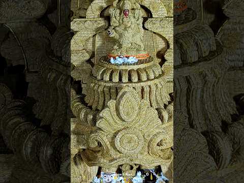 happy Roth jatra