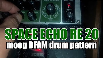 RE 20 Roland Space Echo RE-201 Delay Reverb and Synthesizer - Moog DFAM Drum Sequence