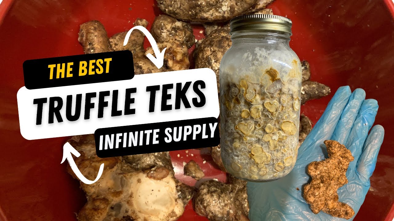 ???? How To Make Infinite Truffles: The Best Truffle TEKs (Edible Mycology with Sage!) ????