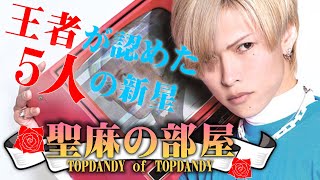 【TOP DANDY】歌舞伎町の王者、聖麻が認めた5人の若手ホスト達！ 彼らの魅力に迫る！【groupdandy】