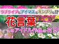 ラブライブもアイマスもキンプリも！花言葉はアイドル作品の花！？【アイドル系/花言葉②】