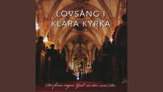 Video thumbnail of "Klara Kyrka - Bara Du Är Gud"