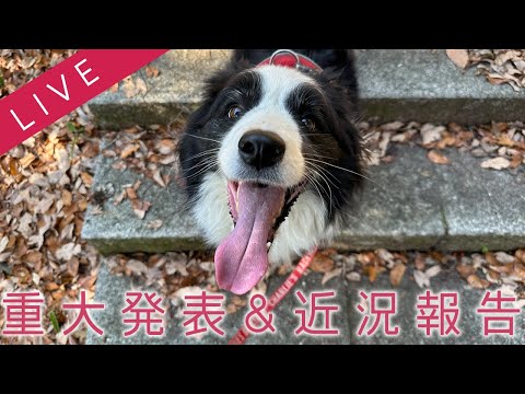 【LIVE】重大発表＆近況報告します