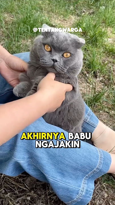 Cinta bertepuk sebelah tangan 🥲