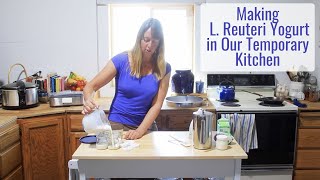 Making L. Reuteri Yogurt in Our Temporary Kitchen  3 Ingredients, Simple   Keeping Gut Bugs Happy