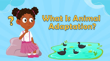 What Is Animal Adaptation? | Fun Facts About Animals | Fun Facts for Kids | Animal Facts for Kids