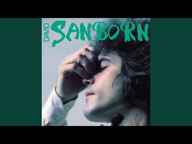 David Sanborn - Indio