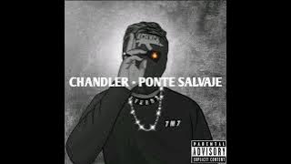 CHANDLER - PONTE SALVAJE (Super Slowed & Reverb)