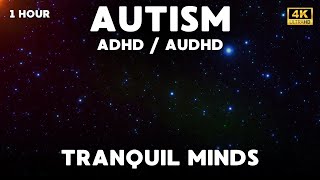Tranquil Minds: Sensory Therapy for Autism, ADHD & AUDHD – Calming Visuals & Music