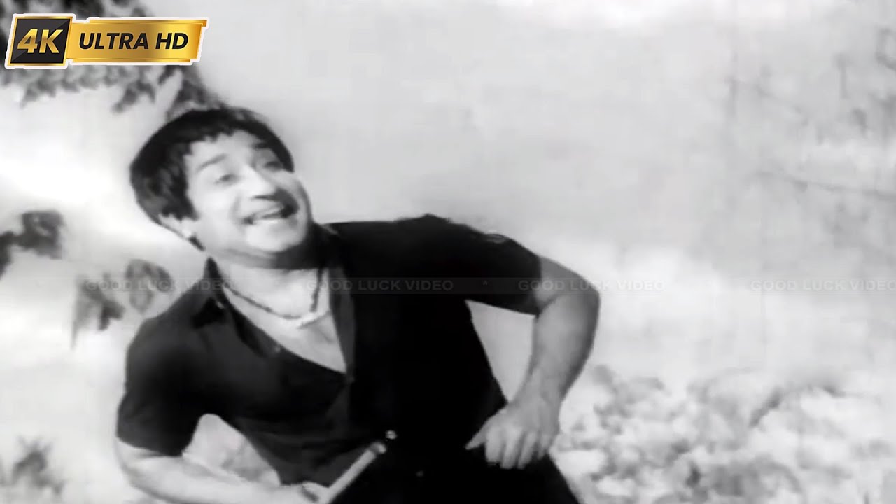      Ammadi Ponnukku song TMSoundararajan  Raman Ethanai Ramanadi