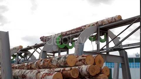 Wheel Loader and Automatic Sorting Logs Diameter - Stock Footage | VideoHive 16393149