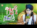 Ya Shafi E Umam Lillah Kardo Karam Shala Wsda Rehe Tera Sona Haram Muhammad Owais Attari