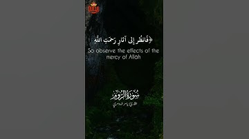 فانظر إلى آثار رحمة الله.. #ياسر_الدوسري #ريحانة_قرآن #سورة_الروم #قرآن #تلاوات_خاشعة #ماهر_المعيقلي