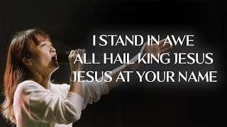 Trinity in Worship: I Stand In Awe | All Hail King Jesus | Jesus At Your Name