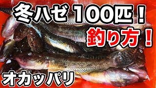 【ハゼ釣り必釣法  釣り方  基礎編】  真冬にオカッパリで  100匹釣る  ミャク釣りを解説  東京  下町  運河  【小物釣り  はぜ釣り   マハぜ  夜釣り  初心者必見  入門】