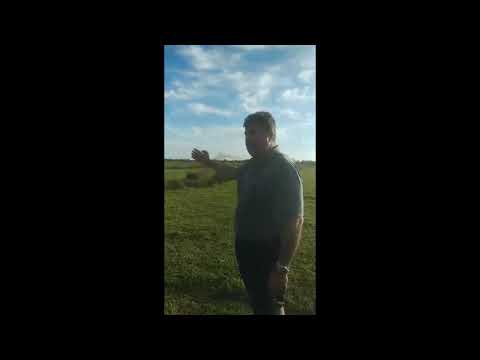 სპეციალურადაა გაპარტახებული გურიის ბეღელი, რომ მერე უცხოელებზე გაიყიდოს