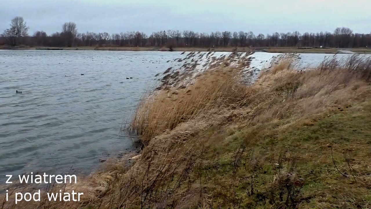 z wiatrem i pod wiatr YouTube