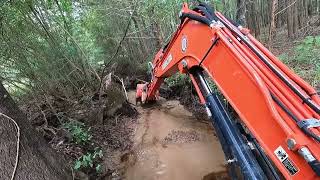 Tearing out beaver dams in a creek with an excavator