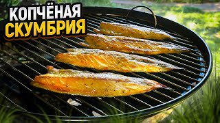 :      # # #