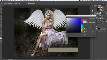 Chapter 7 How to Use the Rectangular Marquee Tool in Photoshop CC 2017