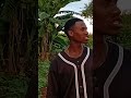maboxi jamani