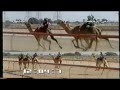 دمعة النواميس 2001 دمعة النواميس 2001