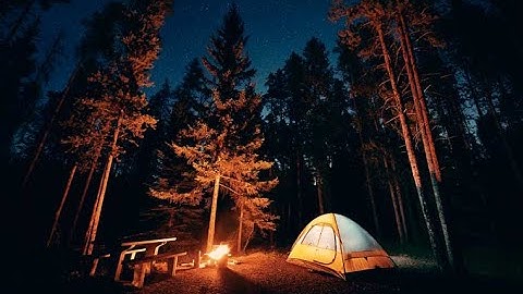 8 jam berkemah di hutan dengan api unggun - relaxing and calming sound - ASMR