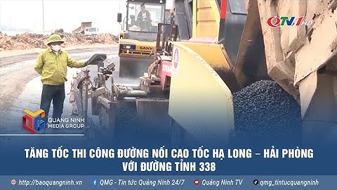 Công suất phòng trung bình năm hạ long 2023 năm 2024