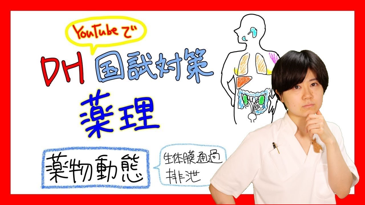 【薬理】DH国試対策【2022年 No.4】【薬物動態、生体膜通過、排泄】