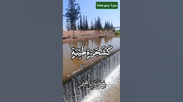 #سورة ابراهيم #اكسبلور #المصحف #ورك #لايك #الرحمن #حالات_واتس #الظروف
