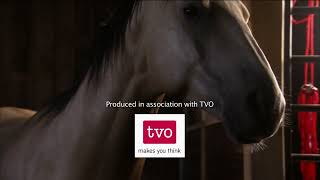 Tvoprotocol Entertainmentcrawford Productionswineaton Films 2008