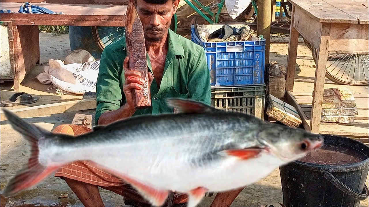 Difficult 5 kg pangus fish cutting skills the Fish Market. - YouTube