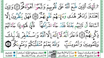 سورة محمد القسم الثاني مكرر ياسين الجزائري برواية ورش عن نافع