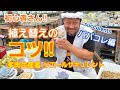 【多肉植物】枯らさない‼️植え替え方‼️