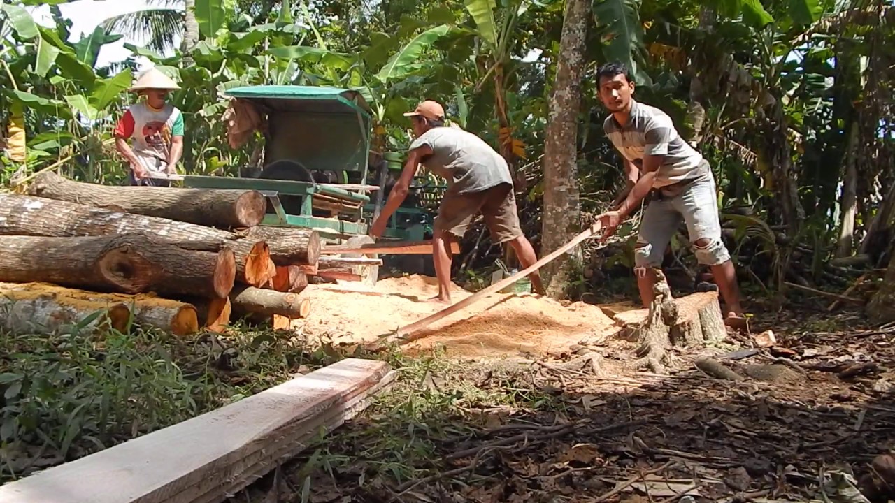 Pembelahan Kayu Glondongan Menjadi Bahan Baku Kerajinan 