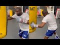 Floyd Mayweather throws “500 FAST Punches” on the Heavy Bag at 46 Y/O