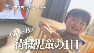 保育園落ちちゃった1歳児とママの平日｜1歳1ヶ月｜秋冬コーデ｜待機児童｜自宅保育｜赤ちゃんと猫｜多頭飼い by ちっちきチャンネル 385 views 1 year ago 21 minutes