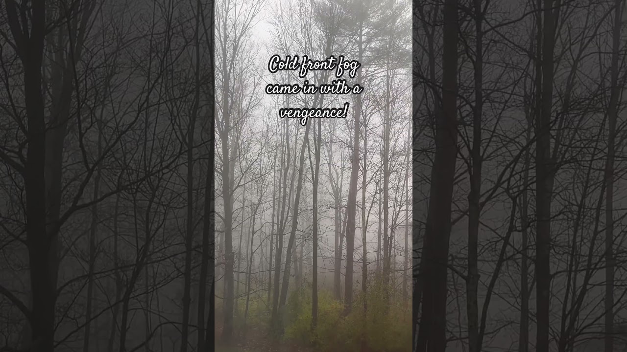 It took less than ten minutes for this fog to roll in! #fog #mountain #mountainlife #weather