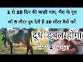 गाय,भैंस के दूध को डबल कैसे करें,How to double cow, buffalo milk,पांच लीटर दूध देती है दस लीटर देगी.