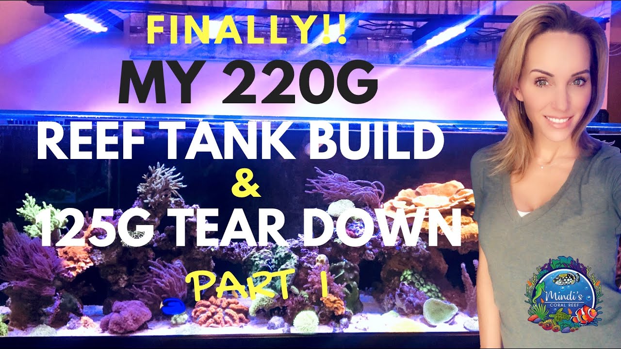 FINALLY! - My 220G Reef Tank Build - 125G Tear Down - Part I 