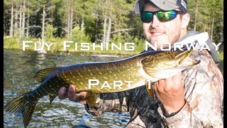 Fly Fishing Norway: Rena River (Part 1) Pike and Grayling