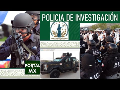 Convocatoria Policía de Investigación 2022-2023 ¡POSTULATE! Beneficios, Requisitos, Documentos Requisitos para ser policía de investigación: todo lo que necesitas saber