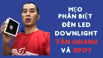 Các CÁCH PHÂN BIỆT Đèn led Downlight Spot và Led Downlight tán quang, để ứng dụng đúng #videongay6