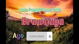 SP/ST BRAWIJAYA. SP BLACK HORSE. SP PANGGIL ALAM. SP CAKAR LANGIT FULL VERSION