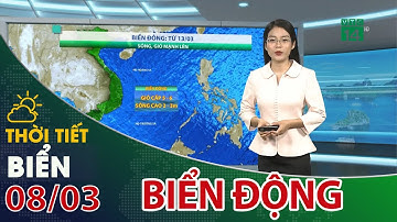 Thời tiết biển 08/03/2023: Nam biển Đông biển động nhẹ| VTC14